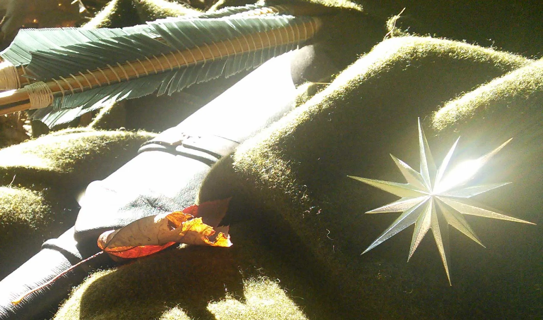 A many-pointed silver star catching sunlight on moss